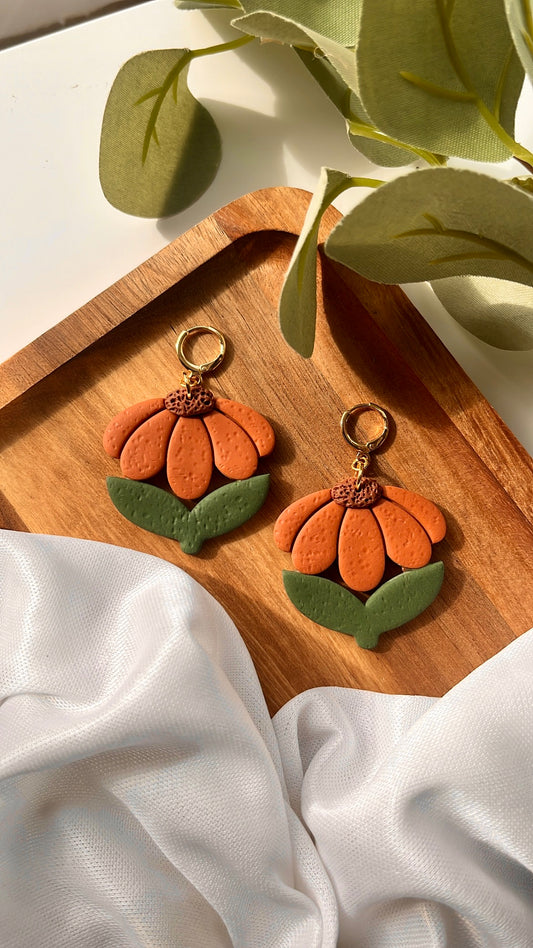 Orange Daisies
