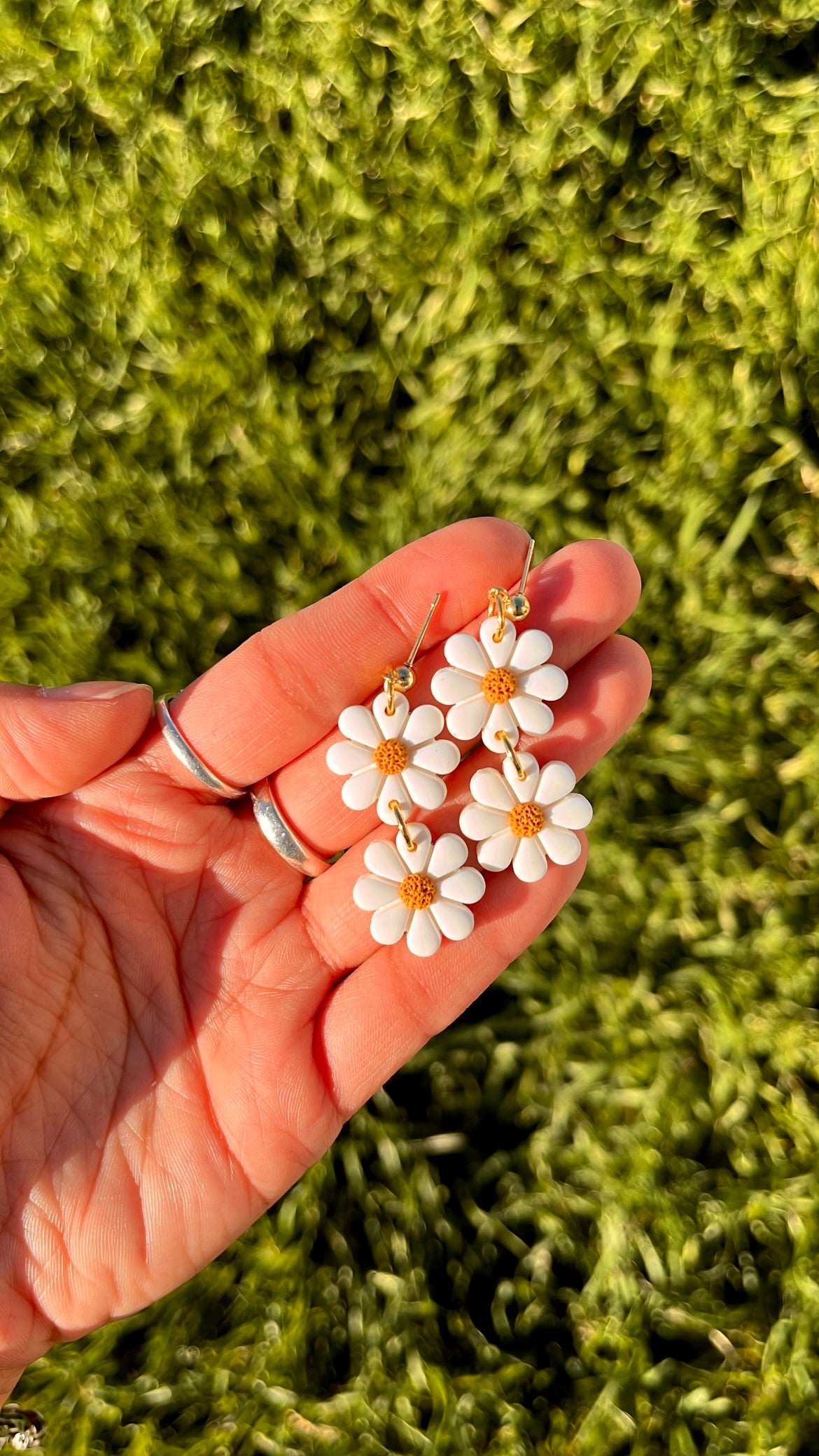 Double Daisies