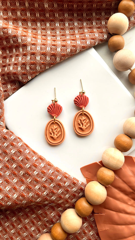 Coral Seashell Frames
